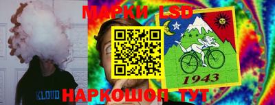 гидропоника Можайск