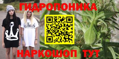 гидропоника Можайск