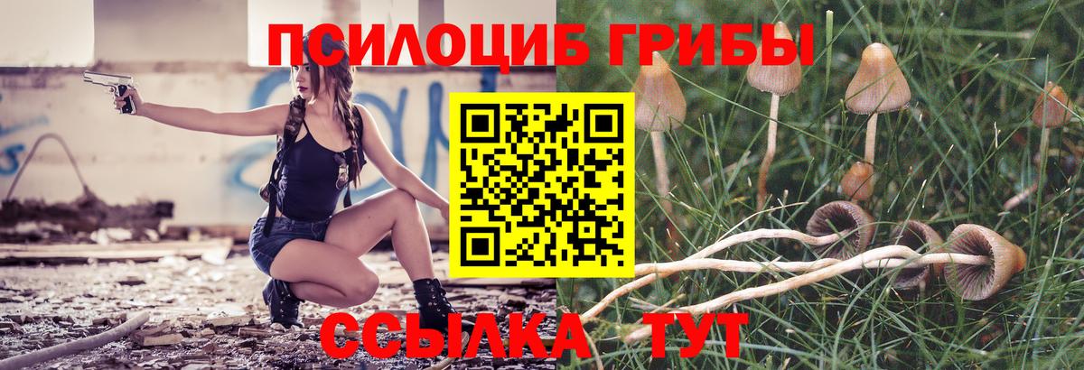 Псилоцибиновые грибы прущие грибы  Галлюциногенные грибы MAGIC MUSHROOMS  Вход с VPN  Черняховск 